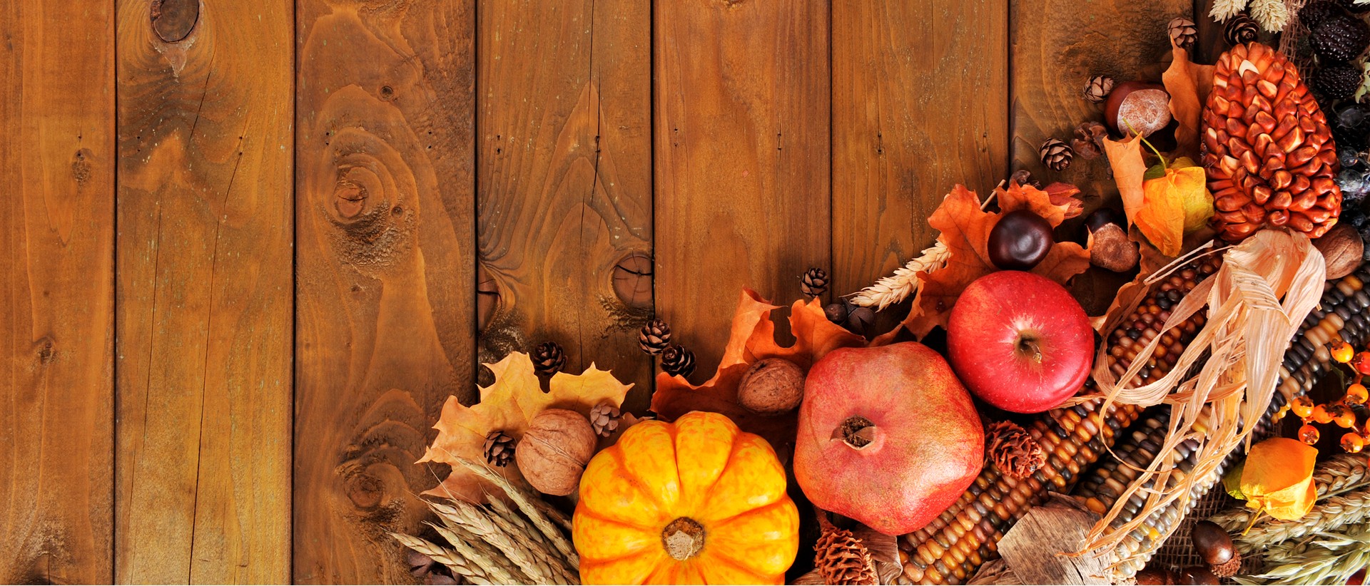Best wishes for a happy and healthy Thanksgiving. Thank you for your business!