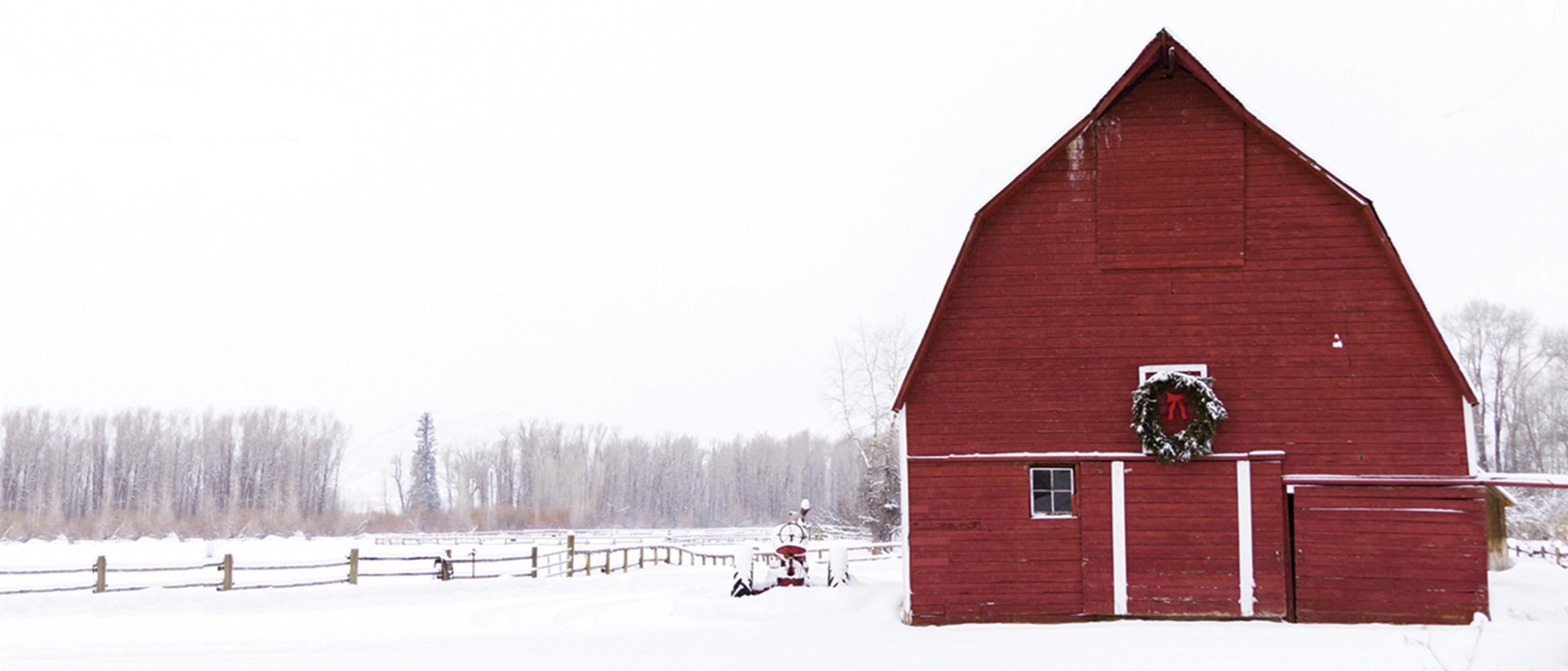 Best Wishes For A Joyous Holiday Season!